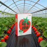 Freeze-dried strawberry